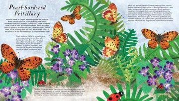 National Trust Butterfly Skies - Lauren Fairgrieve [KSIĄŻKA]