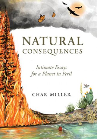 Natural Consequences [KSIĄŻKA]