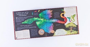Natural History Of Magical Beasts - Emily Hawkins [KSIĄŻKA]
