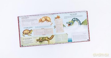 Natural History Of Magical Beasts - Emily Hawkins [KSIĄŻKA]