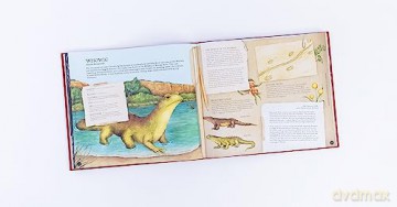 Natural History Of Magical Beasts - Emily Hawkins [KSIĄŻKA]