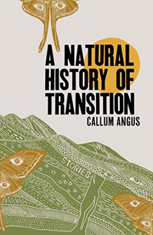 Natural History Of Transition A [KSIĄŻKA]