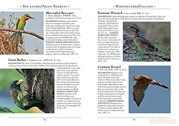 Naturalists Guide To The Birds Of The Ho - Ray Tipper [KSIĄŻKA]