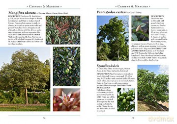 Naturalists Guide To The Trees Of Southe - Saw Leng Guan [KSIĄŻKA]
