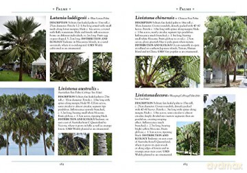Naturalists Guide To The Trees Of Southe - Saw Leng Guan [KSIĄŻKA]