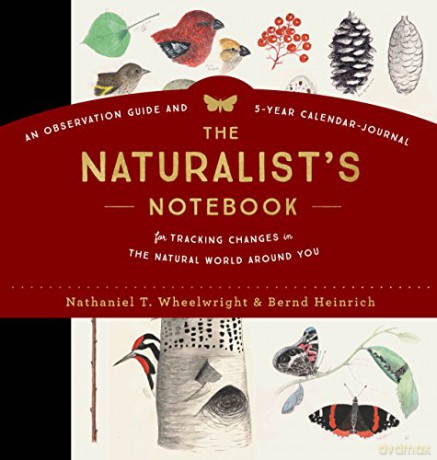 Naturalists Notebook - N T Wheelwright [KSIĄŻKA]