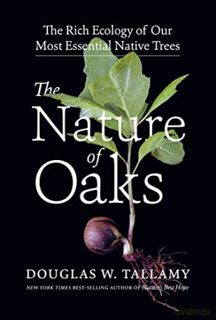 Nature Of Oaks The - W. Douglas Tallamy [KSIĄŻKA]