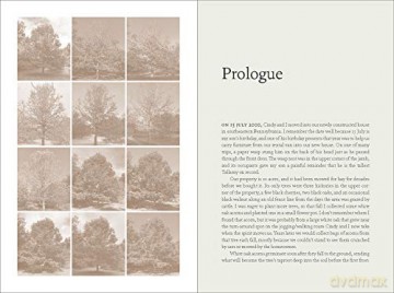 Nature Of Oaks The - W. Douglas Tallamy [KSIĄŻKA]