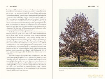 Nature Of Oaks The - W. Douglas Tallamy [KSIĄŻKA]