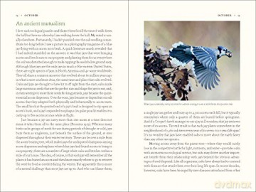Nature Of Oaks The - W. Douglas Tallamy [KSIĄŻKA]