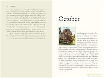 Nature Of Oaks The - W. Douglas Tallamy [KSIĄŻKA]