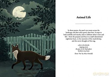 Nature Poems - Deborah Alma [KSIĄŻKA]