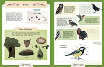 Nature School - L Et Al Giordano [KSIĄŻKA]