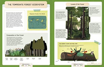Nature School - L Et Al Giordano [KSIĄŻKA]