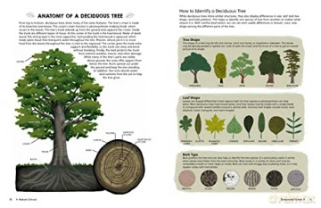Nature School - L Et Al Giordano [KSIĄŻKA]