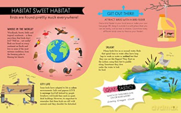 Natures Awesome Classroom Birds - Izzi Howell [KSIĄŻKA]