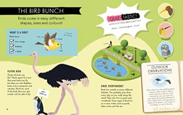 Natures Awesome Classroom Birds - Izzi Howell [KSIĄŻKA]