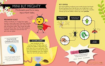 Natures Awesome Classroom Minibeasts - Izzi Howell [KSIĄŻKA]