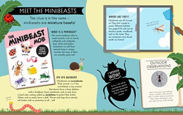 Natures Awesome Classroom Minibeasts - Izzi Howell [KSIĄŻKA]