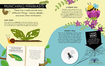 Natures Awesome Classroom Minibeasts - Izzi Howell [KSIĄŻKA]