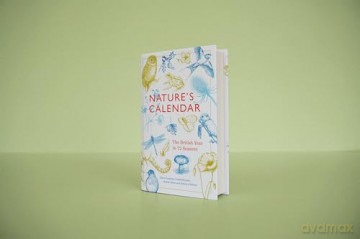 Natures Calendar - Kiera Chapman [KSIĄŻKA]