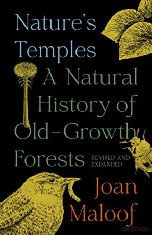 Natures Temples - Joan Maloof [KSIĄŻKA]