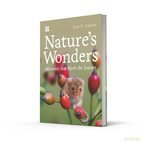 Natures Wonders - Jane V Adams [KSIĄŻKA]