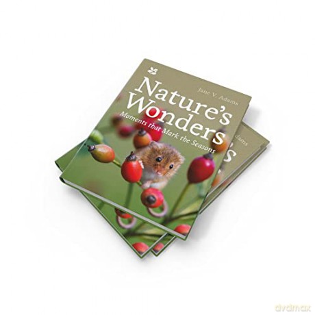 Natures Wonders - Jane V Adams [KSIĄŻKA]