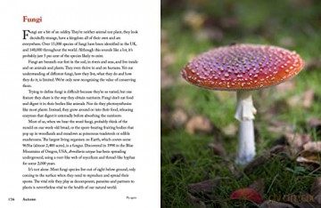 Natures Wonders - Jane V Adams [KSIĄŻKA]