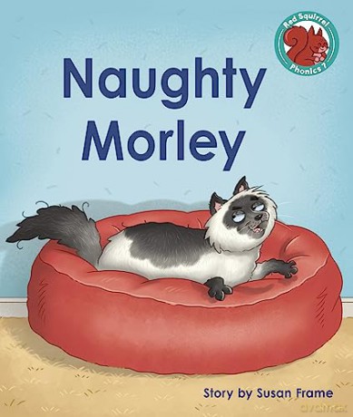 Naughty Morley - Susan Frame [KSIĄŻKA]