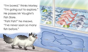 Naughty Morley - Susan Frame [KSIĄŻKA]