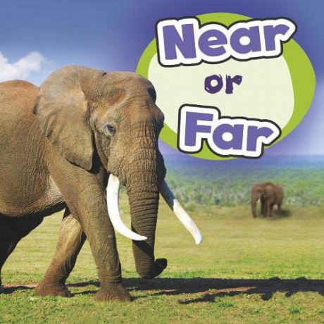 Near Or Far - Wiley Blevins [KSIĄŻKA]
