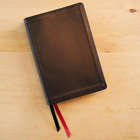 Net Bible Thinline Large Print Leatherso [KSIĄŻKA]