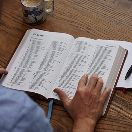 Net Bible Thinline Large Print Leatherso [KSIĄŻKA]