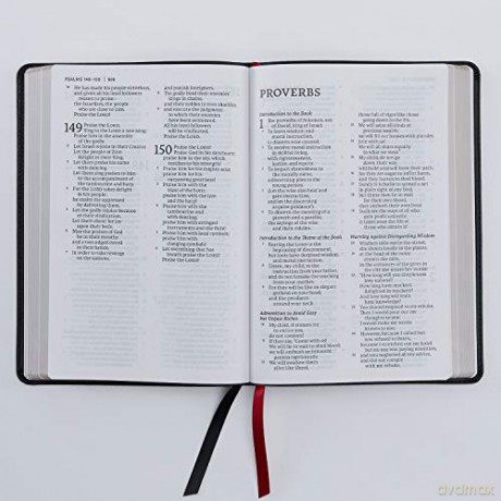 Net Bible Thinline Large Print Leatherso [KSIĄŻKA]