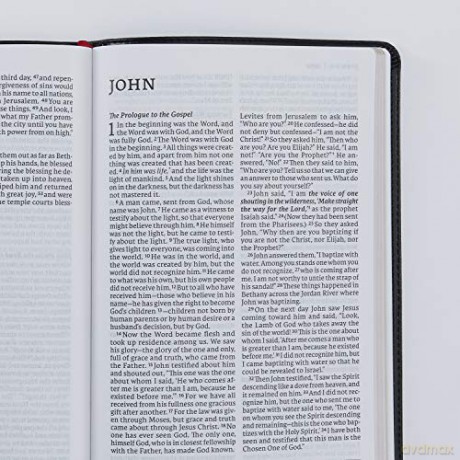 Net Bible Thinline Large Print Leatherso [KSIĄŻKA]