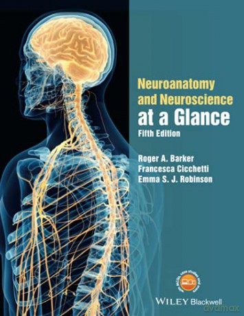 Neuroanatomy And Neuroscience At A Glan [KSIĄŻKA]