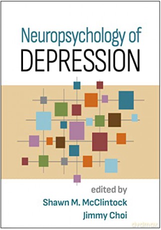 Neuropsychology Of Depression - Shawn M. Mcclintock [KSIĄŻKA]