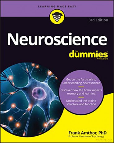 Neuroscience For Dummies - Frank Amthor [KSIĄŻKA]