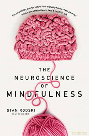 Neuroscience Of Mindfulness The Astonish - Dr. Stan Rodski [KSIĄŻKA]