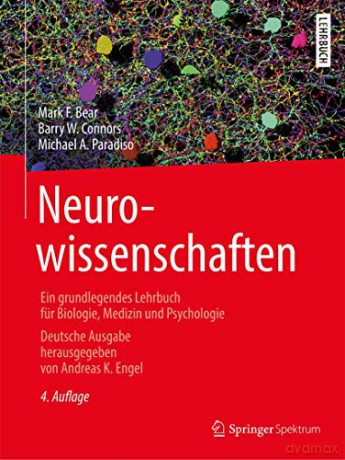 Neurowissenschaften - Bear Mark F. [KSIĄŻKA]