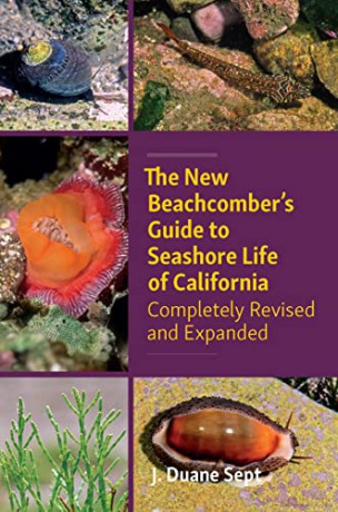 New Beachcombers Guide To Seashore Life - J D Sept [KSIĄŻKA]