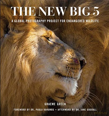 New Big 5 - Graeme Green [KSIĄŻKA]