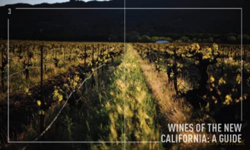 New California Wine The - Jon Bonne [KSIĄŻKA]