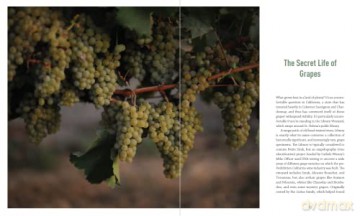 New California Wine The - Jon Bonne [KSIĄŻKA]