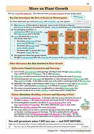 New Grade 91 Gcse Biology Ocr 21st Centu [KSIĄŻKA]