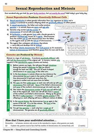 New Grade 91 Gcse Biology Ocr 21st Centu [KSIĄŻKA]