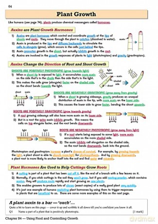 New Grade 91 Gcse Biology Ocr 21st Centu [KSIĄŻKA]