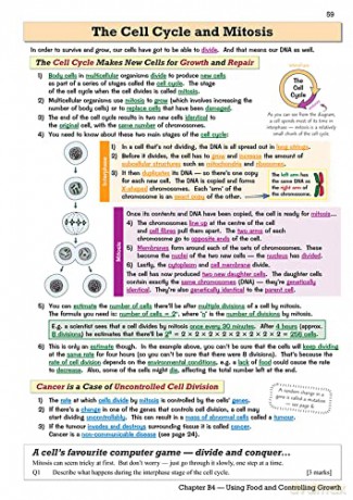 New Grade 91 Gcse Biology Ocr 21st Centu [KSIĄŻKA]