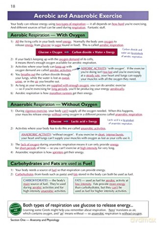 New Grade 91 Gcse Physical Education Ede [KSIĄŻKA]
